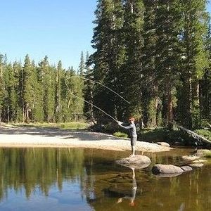 Meet your Posher, Timothy